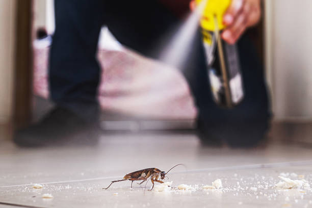  Mount Healthy, OH Pest Control Pros
